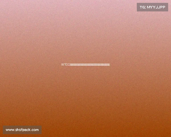 WTCC世界房车锦标赛新赛季烽火再起全球精英车手巅峰对决争夺荣耀