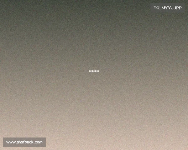 赛事开赛仪式 赛事开赛仪式